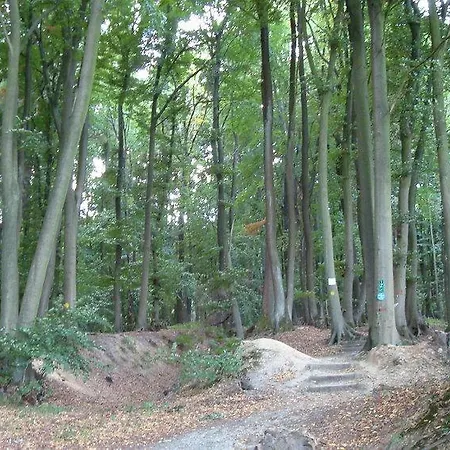 豪斯德国克罗恩酒店 酒店