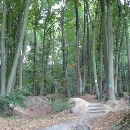 酒店 豪斯德国克罗恩酒店